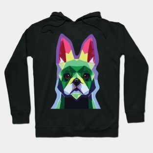 Cuboid French Bully Hoodie